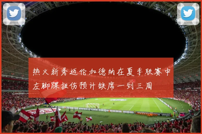 热火新秀迈伦加德纳在夏季联赛中左脚踝扭伤预计缺席一到三周